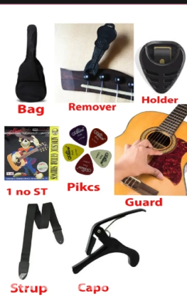 Guitar